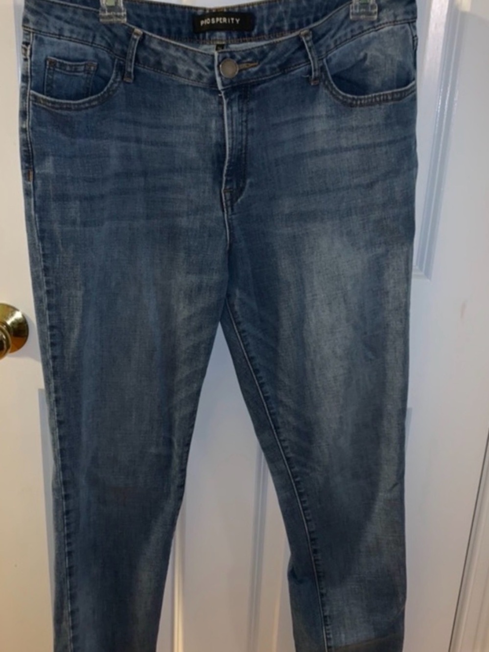 Prosperity Women's Skinny Jeans in Medium Blue